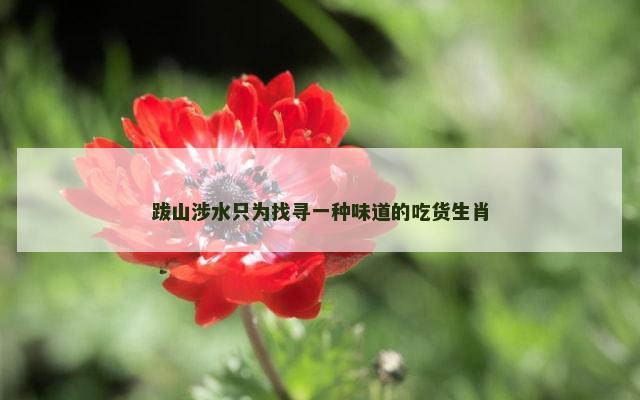跋山涉水只为找寻一种味道的吃货生肖