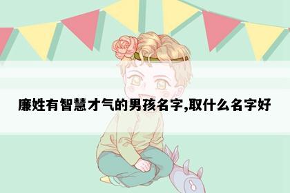 廉姓有智慧才气的男孩名字,取什么名字好
