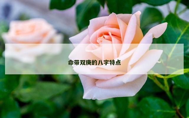 命带双庚的八字特点