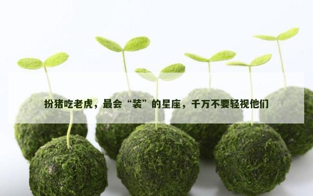 扮猪吃老虎，最会“装”的星座，千万不要轻视他们