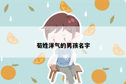 荀姓洋气的男孩名字