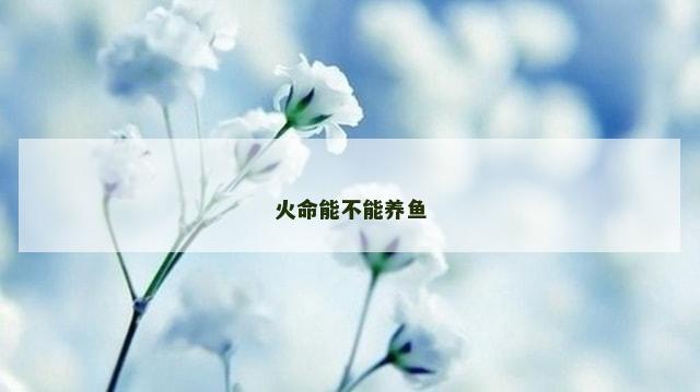 火命能不能养鱼