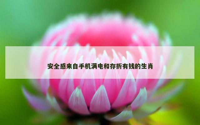 安全感来自手机满电和存折有钱的生肖