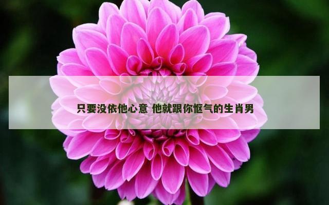 只要没依他心意 他就跟你怄气的生肖男