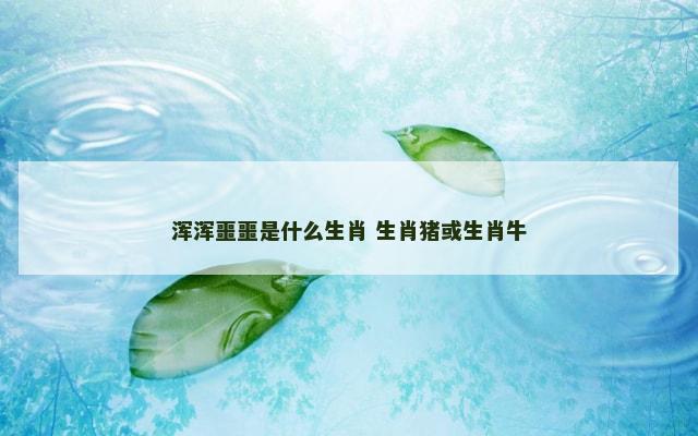 浑浑噩噩是什么生肖 生肖猪或生肖牛