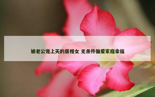 被老公宠上天的属相女 无条件偏爱家庭幸福