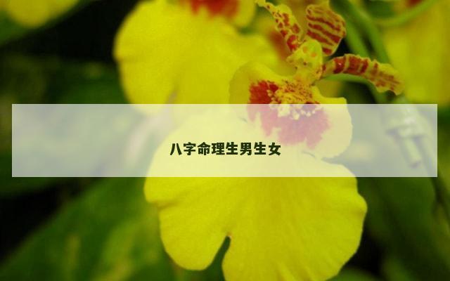八字命理生男生女