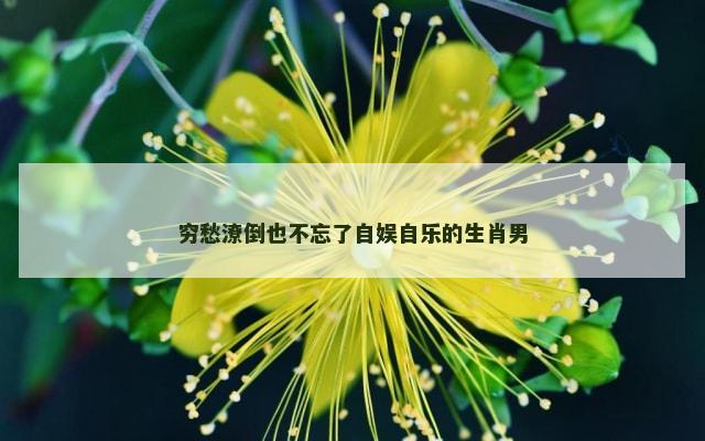 穷愁潦倒也不忘了自娱自乐的生肖男