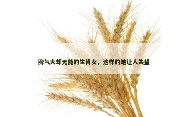 脾气大却无能的生肖女，这样的她让人失望
