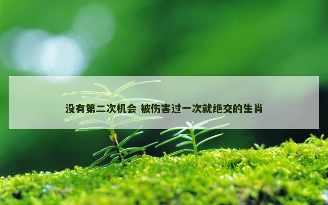 没有第二次机会 被伤害过一次就绝交的生肖