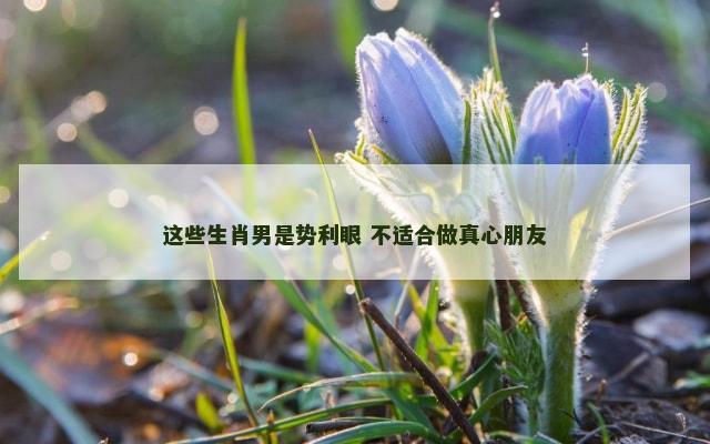 这些生肖男是势利眼 不适合做真心朋友