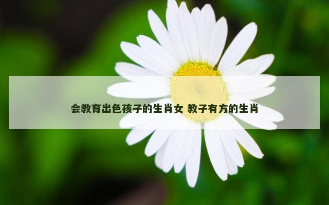 会教育出色孩子的生肖女 教子有方的生肖