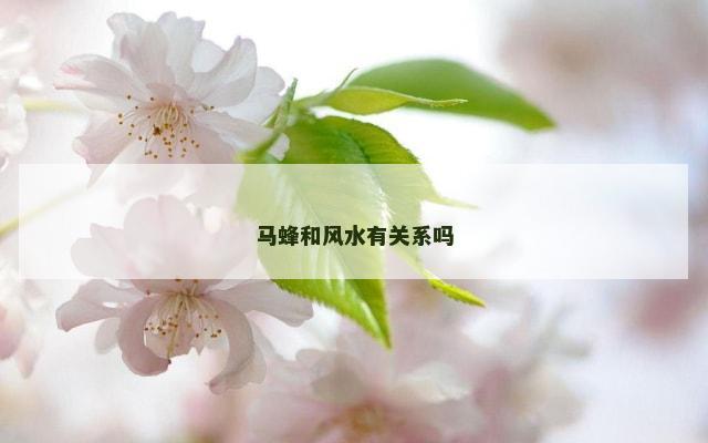马蜂和风水有关系吗