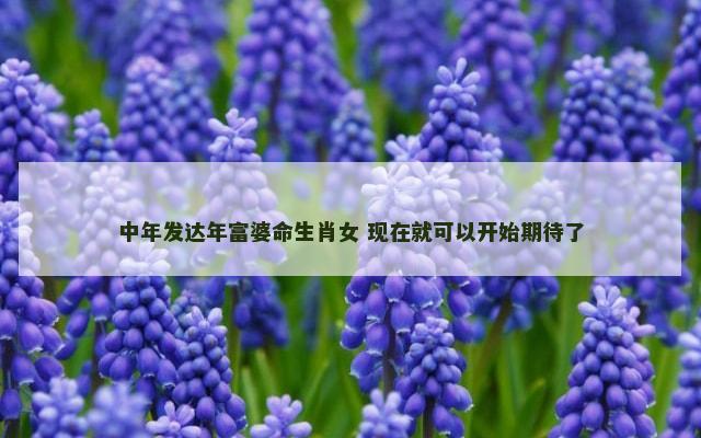 中年发达年富婆命生肖女 现在就可以开始期待了