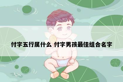 付字五行属什么 付字男孩最佳组合名字