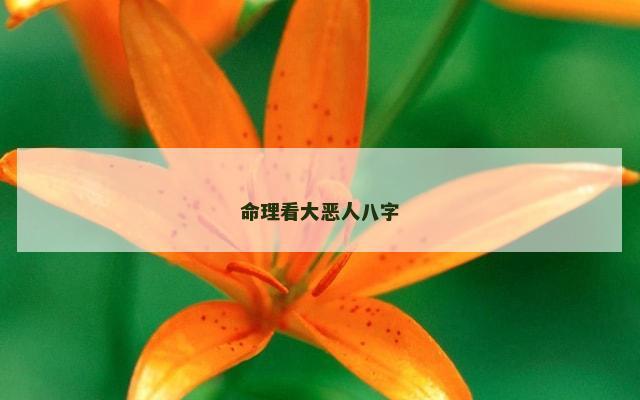 命理看大恶人八字