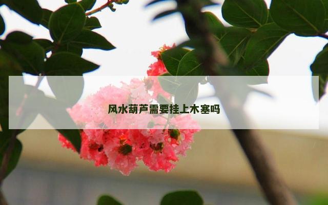 风水葫芦需要挂上木塞吗