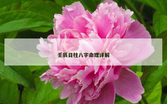 壬辰日柱八字命理详解
