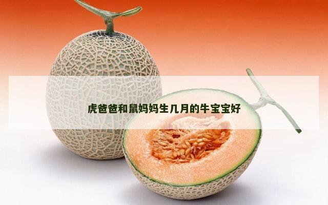 虎爸爸和鼠妈妈生几月的牛宝宝好