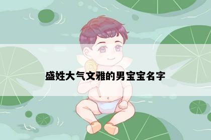 盛姓大气文雅的男宝宝名字