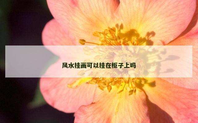 风水挂画可以挂在柜子上吗