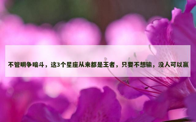 不管明争暗斗，这3个星座从来都是王者，只要不想输，没人可以赢