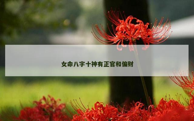 女命八字十神有正官和偏财