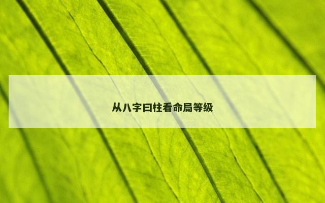 从八字曰柱看命局等级