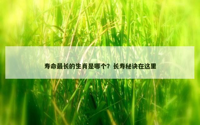 寿命最长的生肖是哪个？长寿秘诀在这里