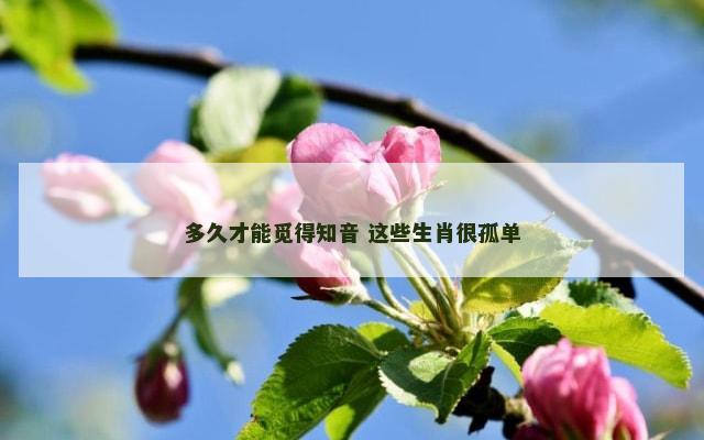 多久才能觅得知音 这些生肖很孤单