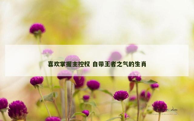 喜欢掌握主控权 自带王者之气的生肖