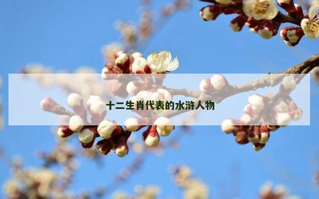 十二生肖代表的水浒人物