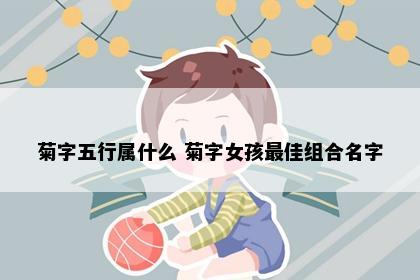 菊字五行属什么 菊字女孩最佳组合名字