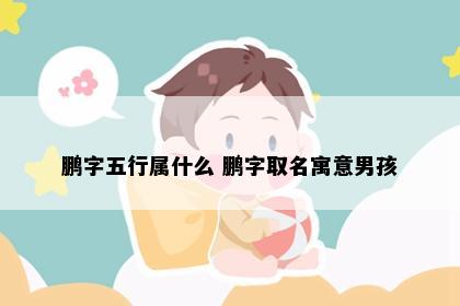 鹏字五行属什么 鹏字取名寓意男孩
