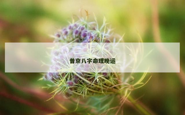 普京八字命理晚运