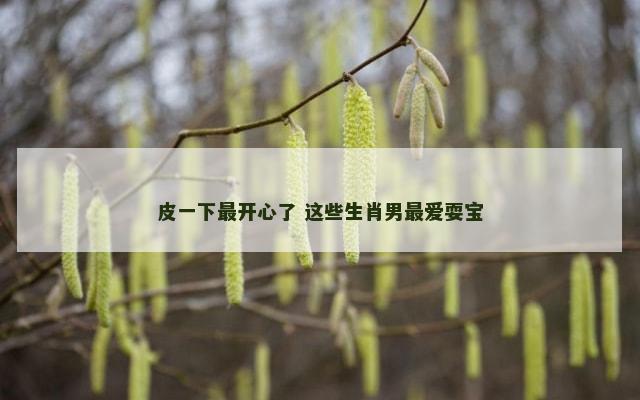 皮一下最开心了 这些生肖男最爱耍宝