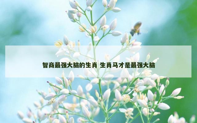 智商最强大脑的生肖 生肖马才是最强大脑