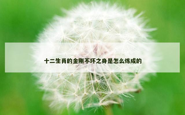 十二生肖的金刚不坏之身是怎么炼成的