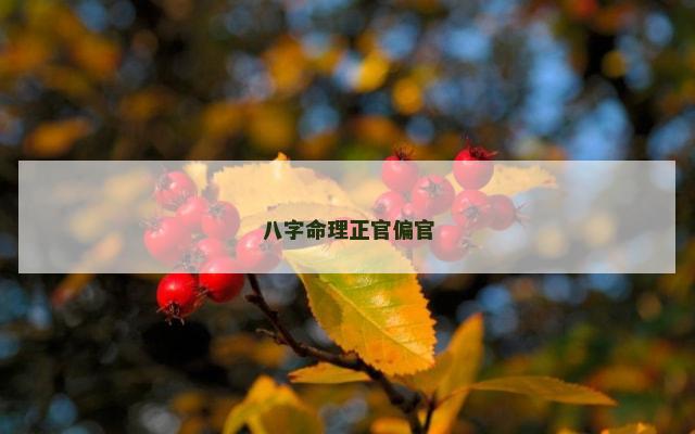 八字命理正官偏官