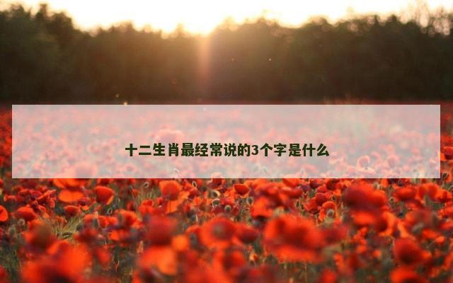 十二生肖最经常说的3个字是什么