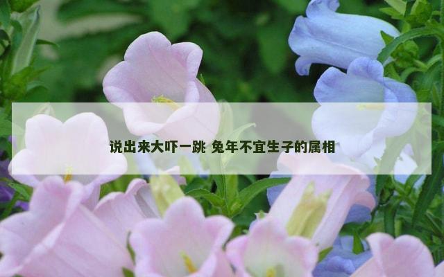说出来大吓一跳 兔年不宜生子的属相