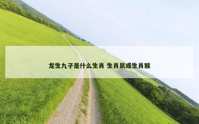 龙生九子是什么生肖 生肖鼠或生肖猴