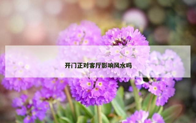 开门正对客厅影响风水吗
