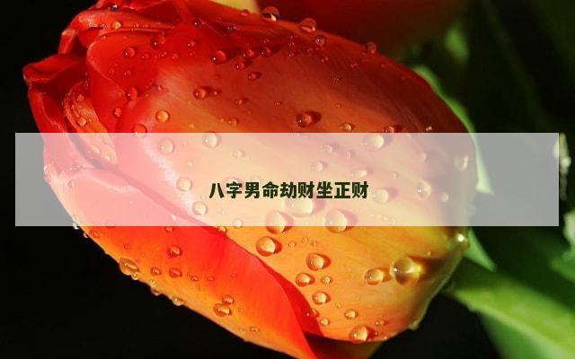 八字男命劫财坐正财