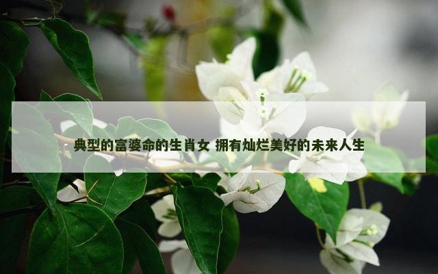 典型的富婆命的生肖女 拥有灿烂美好的未来人生