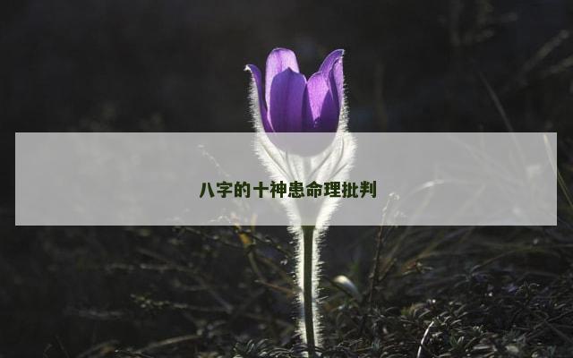 八字的十神患命理批判