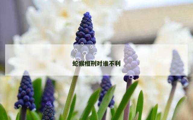 蛇猴相刑对谁不利