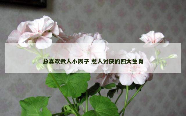 总喜欢揪人小辫子 惹人讨厌的四大生肖