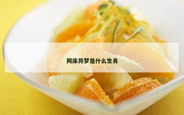 同床异梦是什么生肖