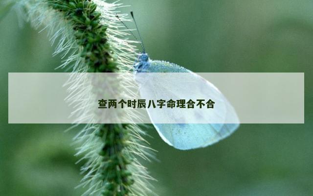 查两个时辰八字命理合不合